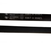 Ремень 1067 H8 стиральной машины